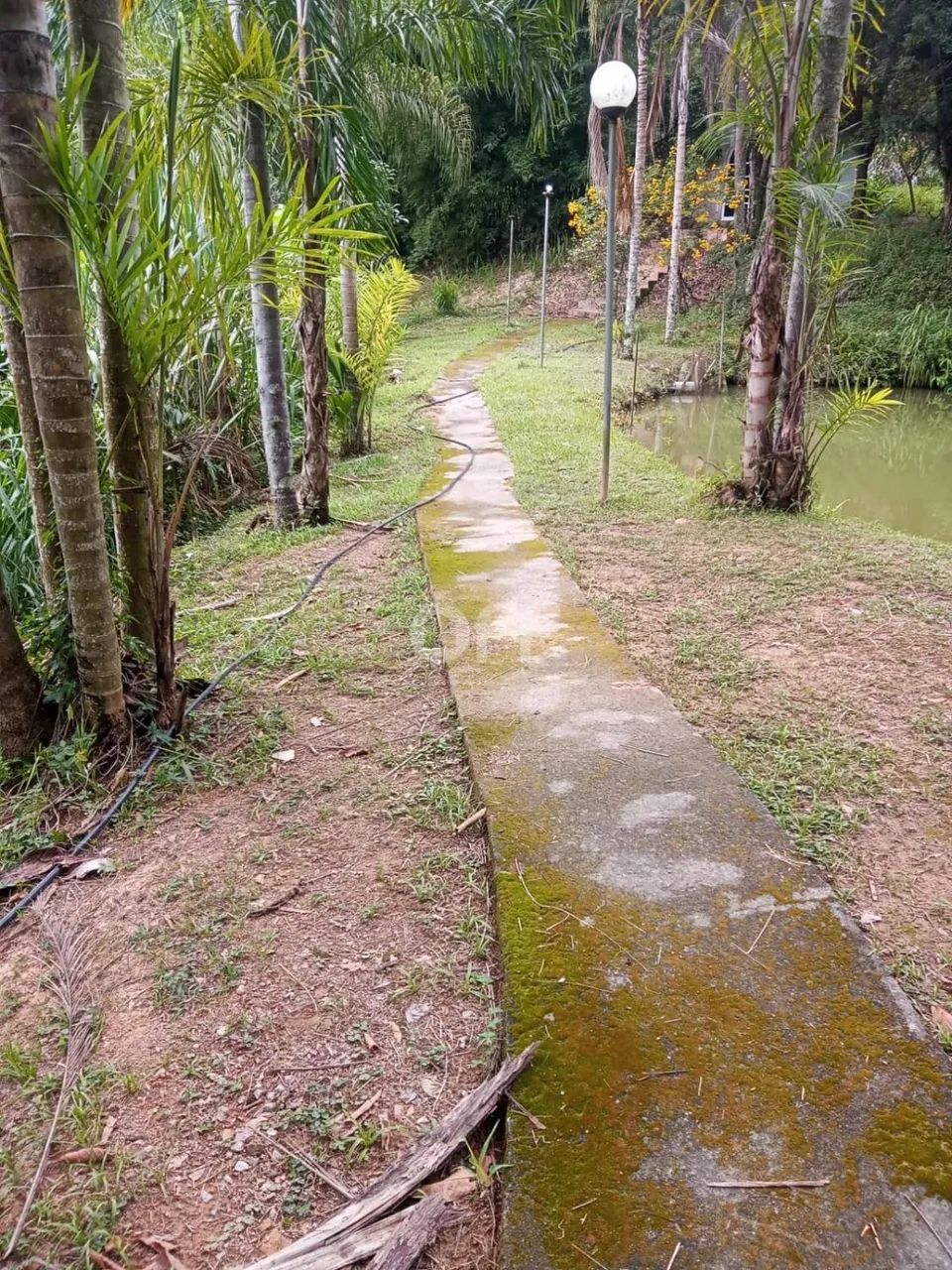 sítio - Campos de São Benedito - Franco da Rocha