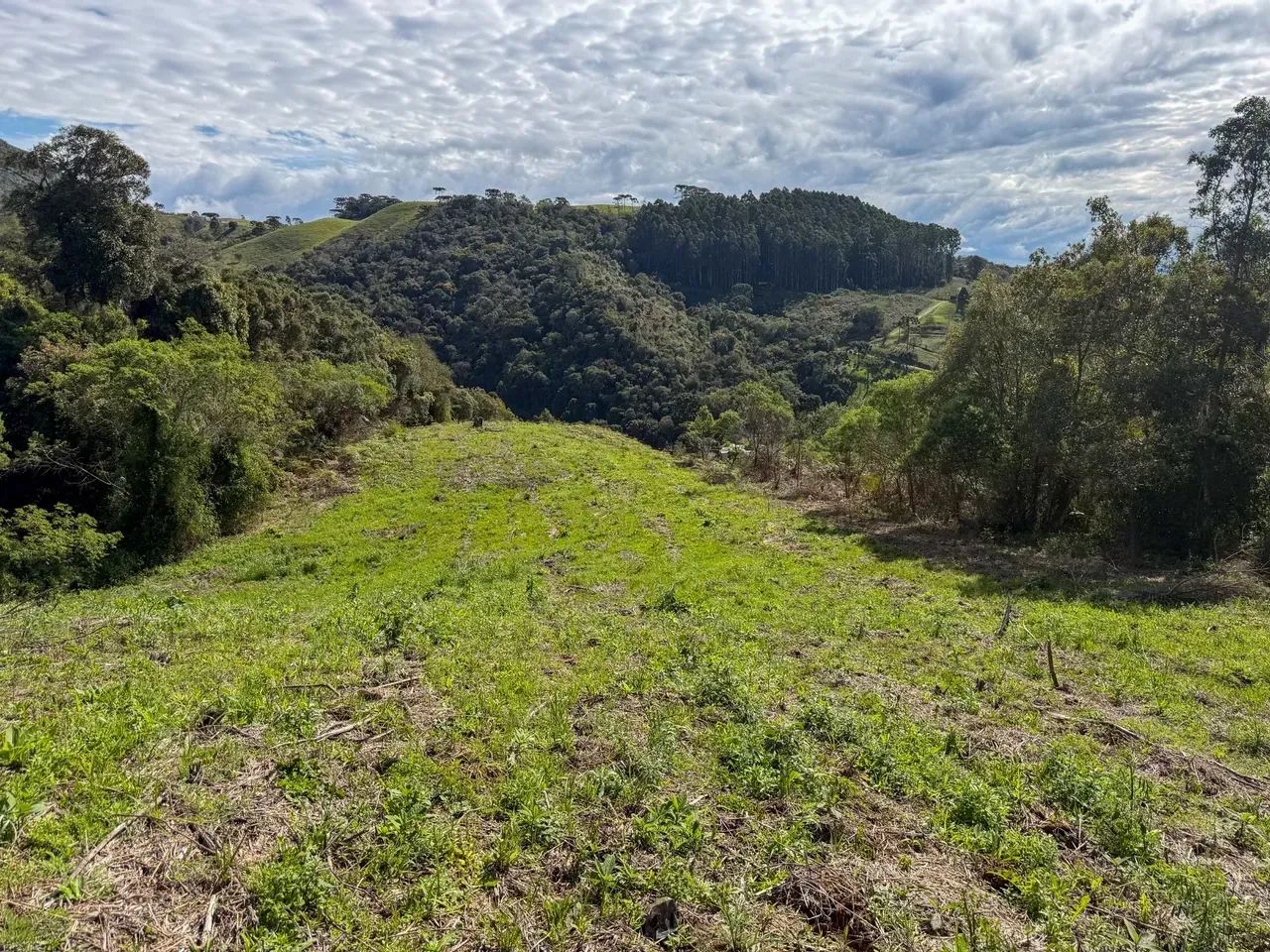 OPORTUNIDADE!! sitio com vista exclusiva para as serras - Foto 5
