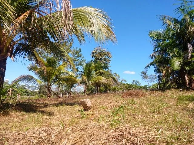 TERRENO - Ao lado da Universidade - Foto 2