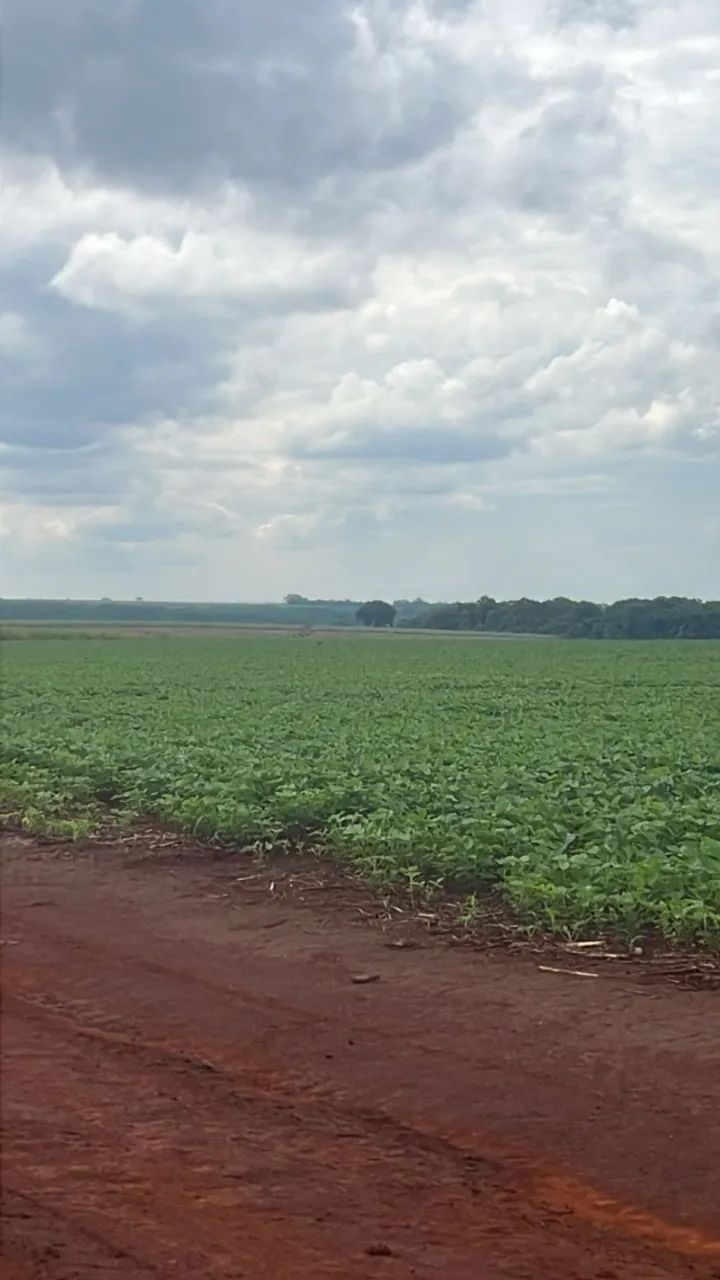 fazenda a venda na região de santa Helena de Goiás - Foto 3