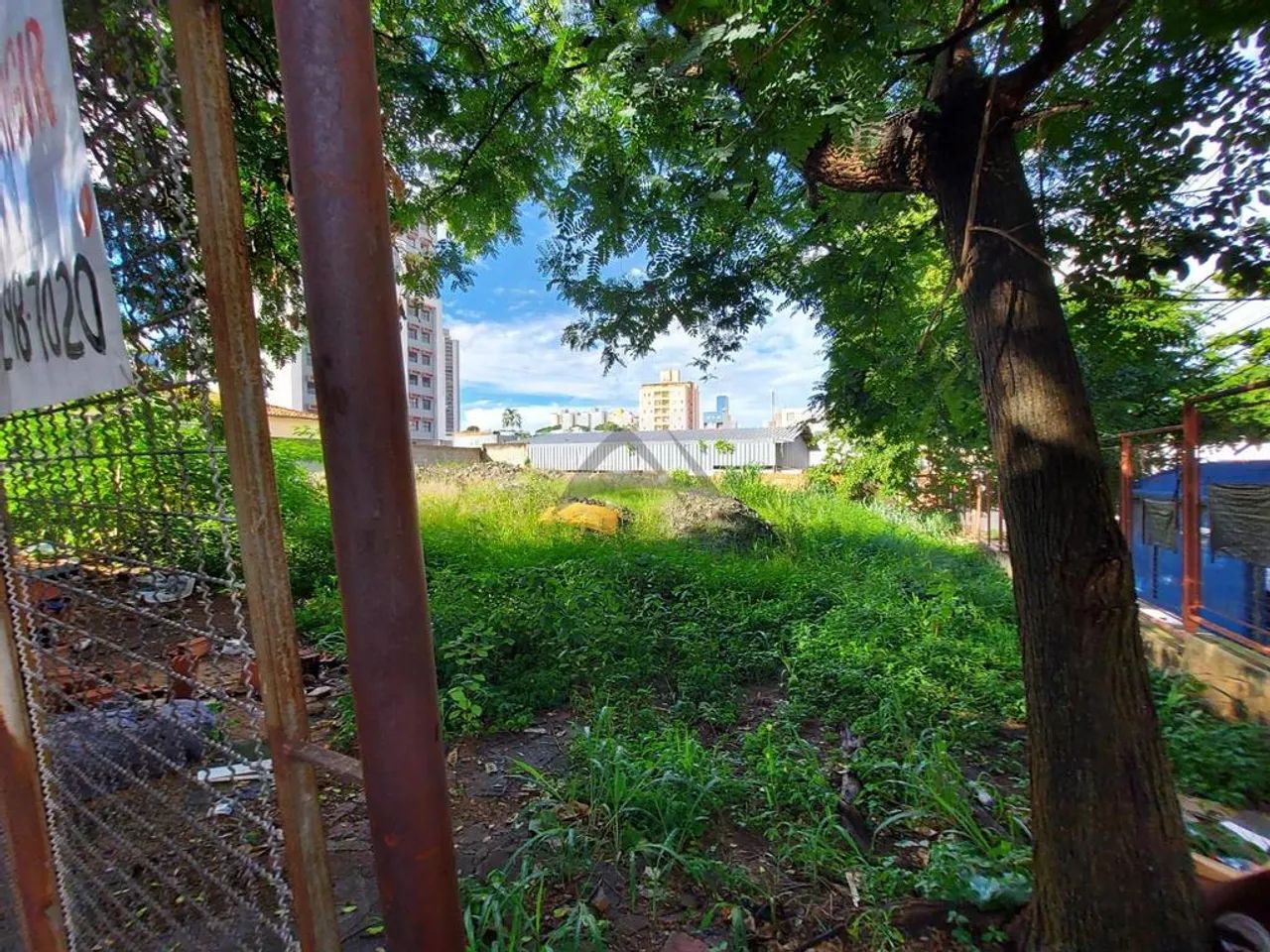 Terreno à venda em Campinas, Vila Itapura, com 280 m² - Foto 2