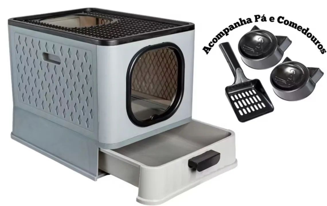 Gato Azul Russo  - Foto 3