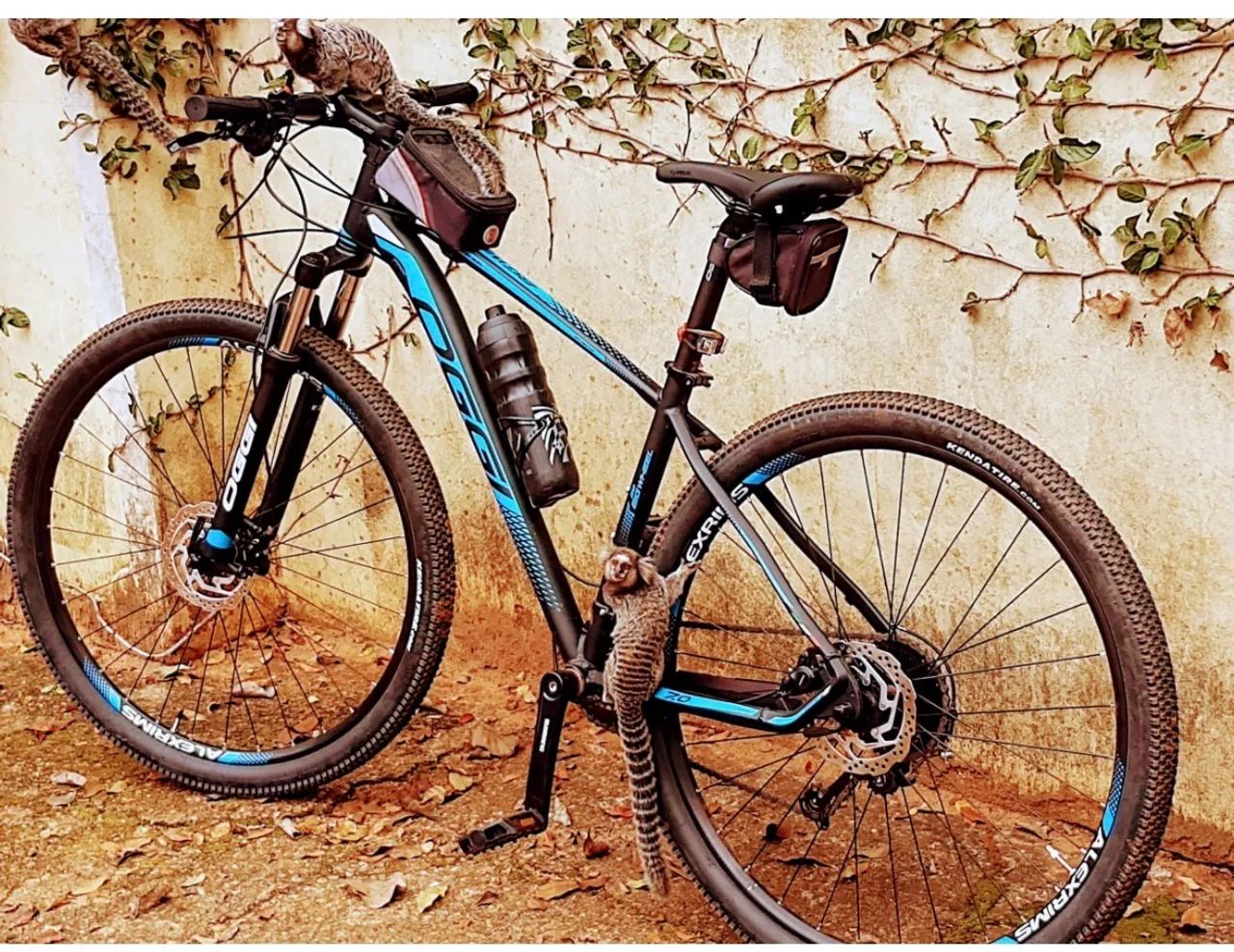 Bicicleta  - Foto 2