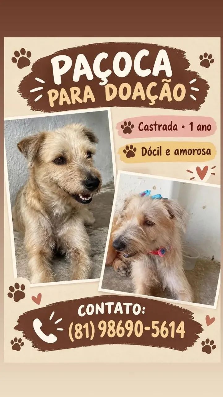 Cadela 
