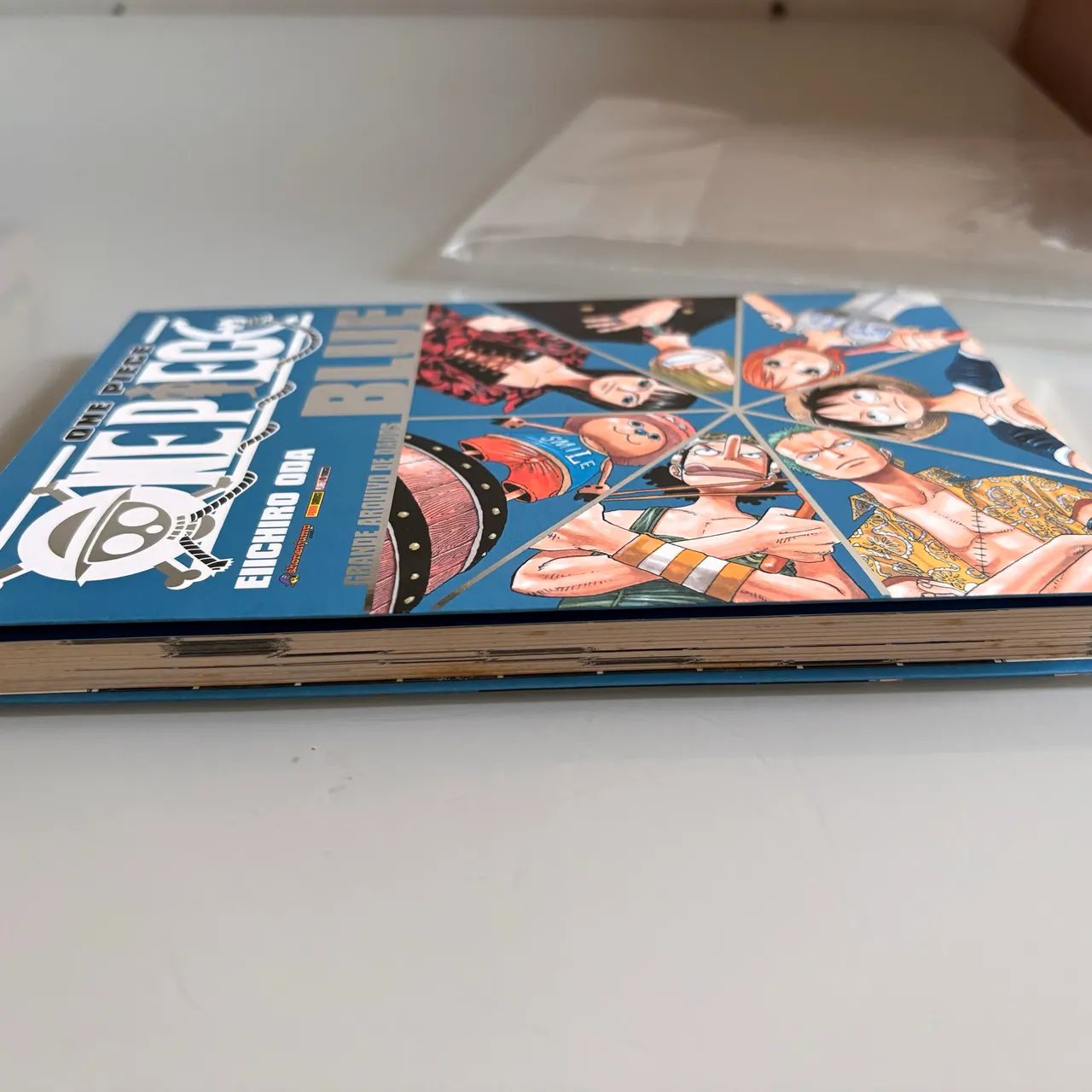 Raro Databook One Piece Blue 1ª edição: Grande Arquivo de Dados