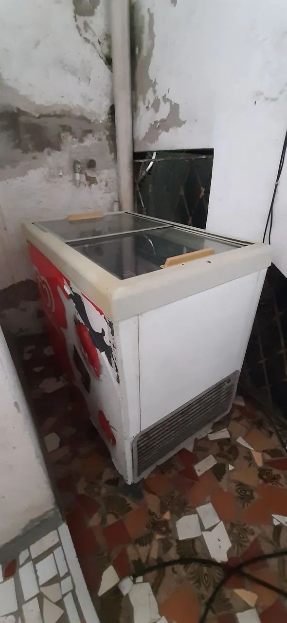 Freezer horizontal