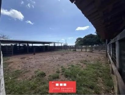 Fazenda para Venda em Sandolândia - Foto 3