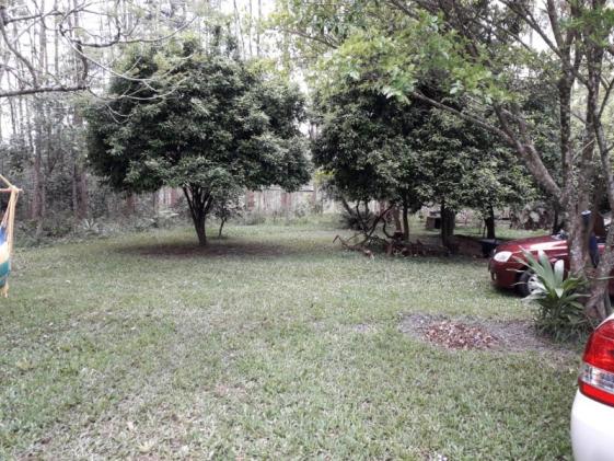 Chácara 10.000 m² - vendinha - montenegro - rs - Foto 3