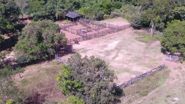 Fazenda Goiás Baliza - Foto 10
