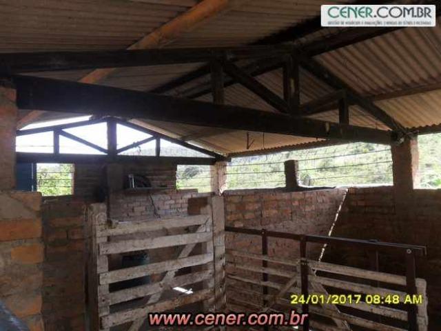 07F/Bela fazenda de 18,78 ha com linda sede estilo antigo, cachoeiras e produtiva - Foto 5