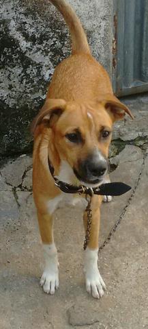 Doação - Foto 2