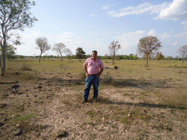 275 hectares,Troco x Fazenda,Chácaras,Condomínios,Região Cuiabá,Santo Antônio-MT - Foto 3