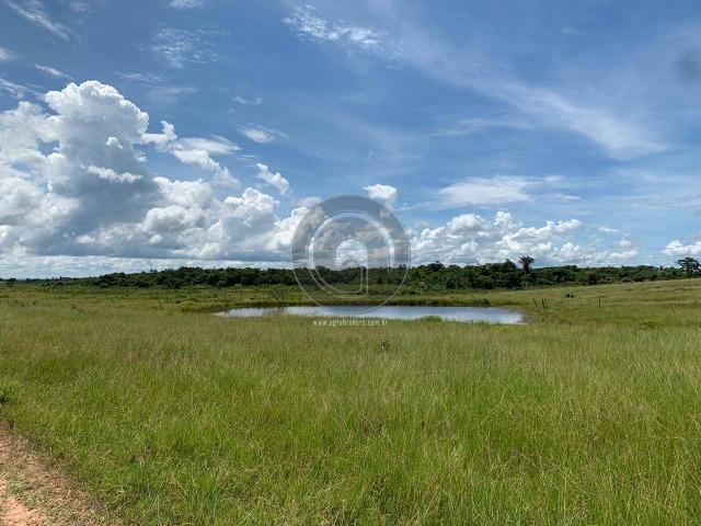 Fazenda 1300 ha para Arrendamento barra do bugres