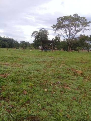 Sítio 60 km de Cuiabá - Foto 2