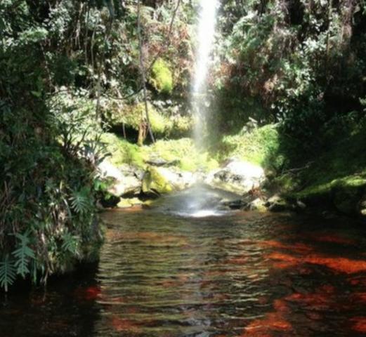 Serra do Funil - Casa a Venda - 21 Cachoeiras - Foto 13
