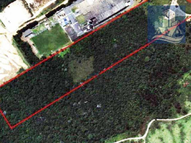 Leilão - Terreno à venda, 77.899 m² por R$ 8.495.365,30 - Raposo Tavares - São Paulo/SP