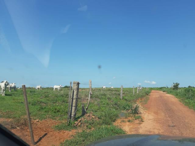Fazenda de 154 alqueires - Foto 2