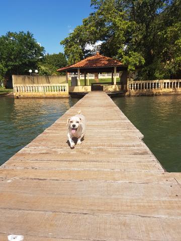 Rancho em miguelopolis - Foto 4