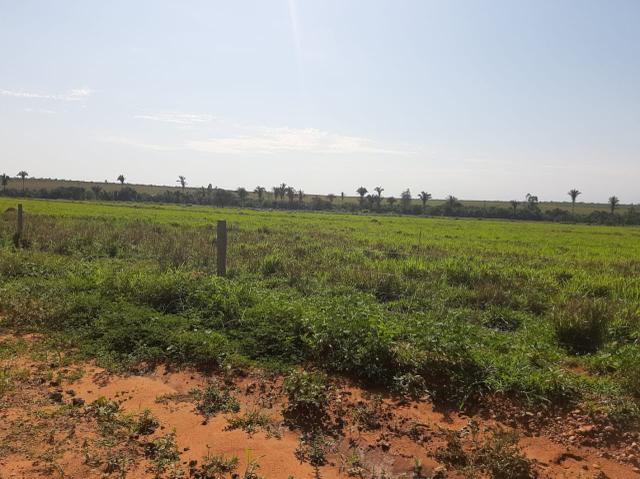 Fazenda de 154 alqueires - Foto 16