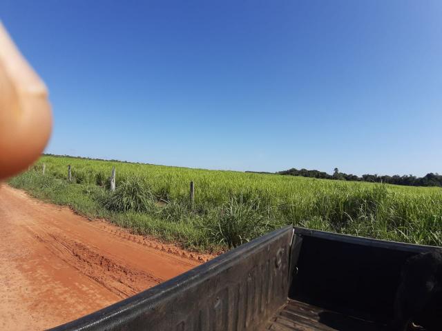 Fazenda de 154 alqueires - Foto 15