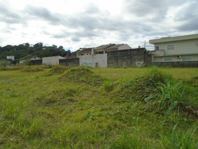 Terreno para alugar em Santa catarina, Joinville cod:08122.002 - Foto 11