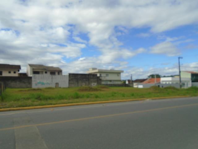 Terreno para alugar em Santa catarina, Joinville cod:08122.001 - Foto 14