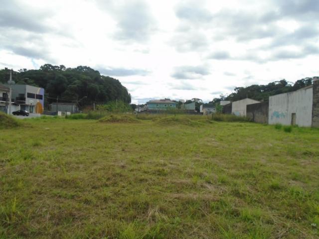 Terreno para alugar em Santa catarina, Joinville cod:08122.001 - Foto 2