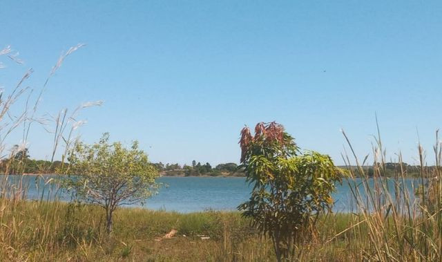 Chácara na Beira do Lago! 14 km de Palmas! Praia de Águas Cristalinas! - Foto 3