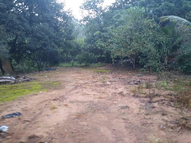 Sítio Viana 6000 mil metros quadrados - Foto 12