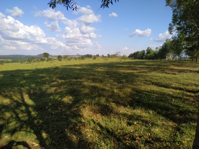 110 Alqueires  - Municipio de Araçu - Foto 5