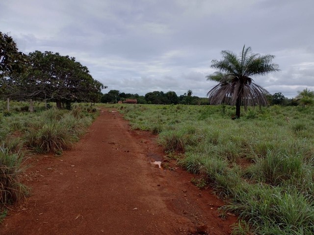 Fazenda em Pium.  - Foto 4