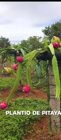 Ótima Estrutura e Acesso...Ideal pra morar/Trabalhar na cidade... - Foto 2