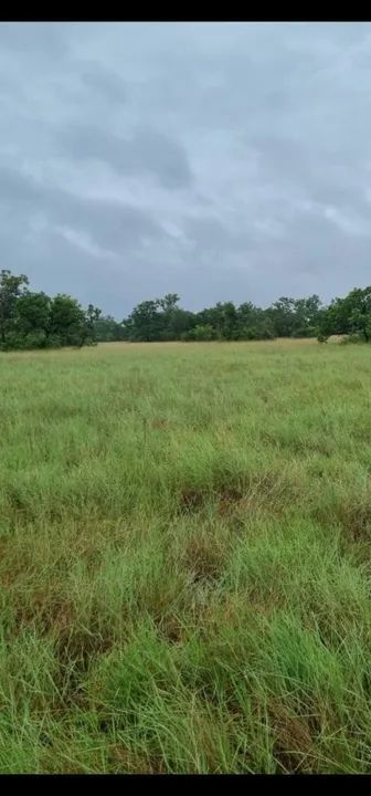 Fazenda com 3.000 hect 75% aberta em porto alegre do norte MT. 7 milhoes - Foto 2