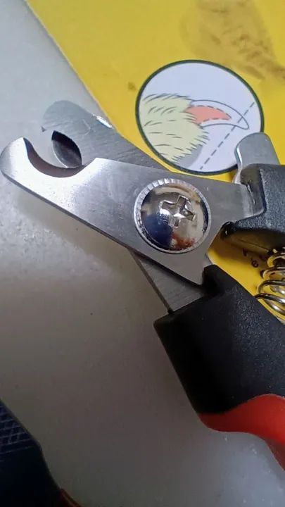 Alicate para Corte de Unhas e Lixa para Pets - Foto 4