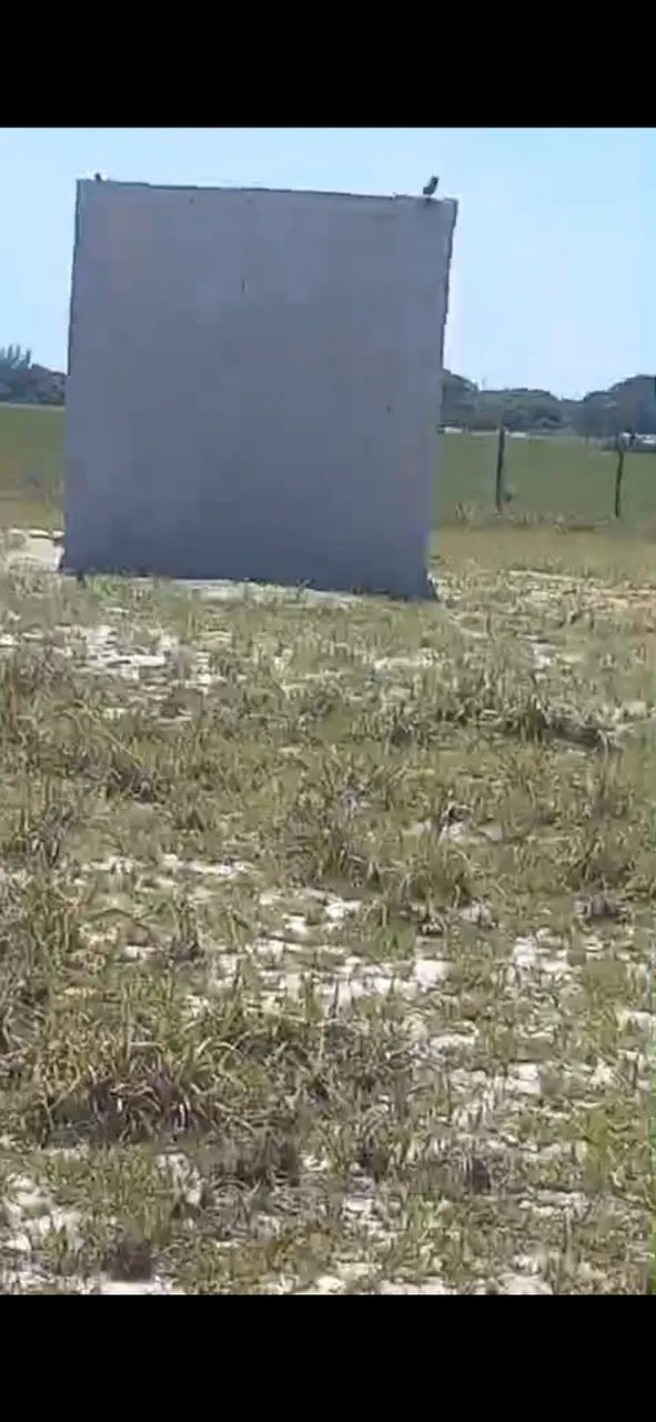 Foto - Campos dos Goytacazes - Parque Flamboyant