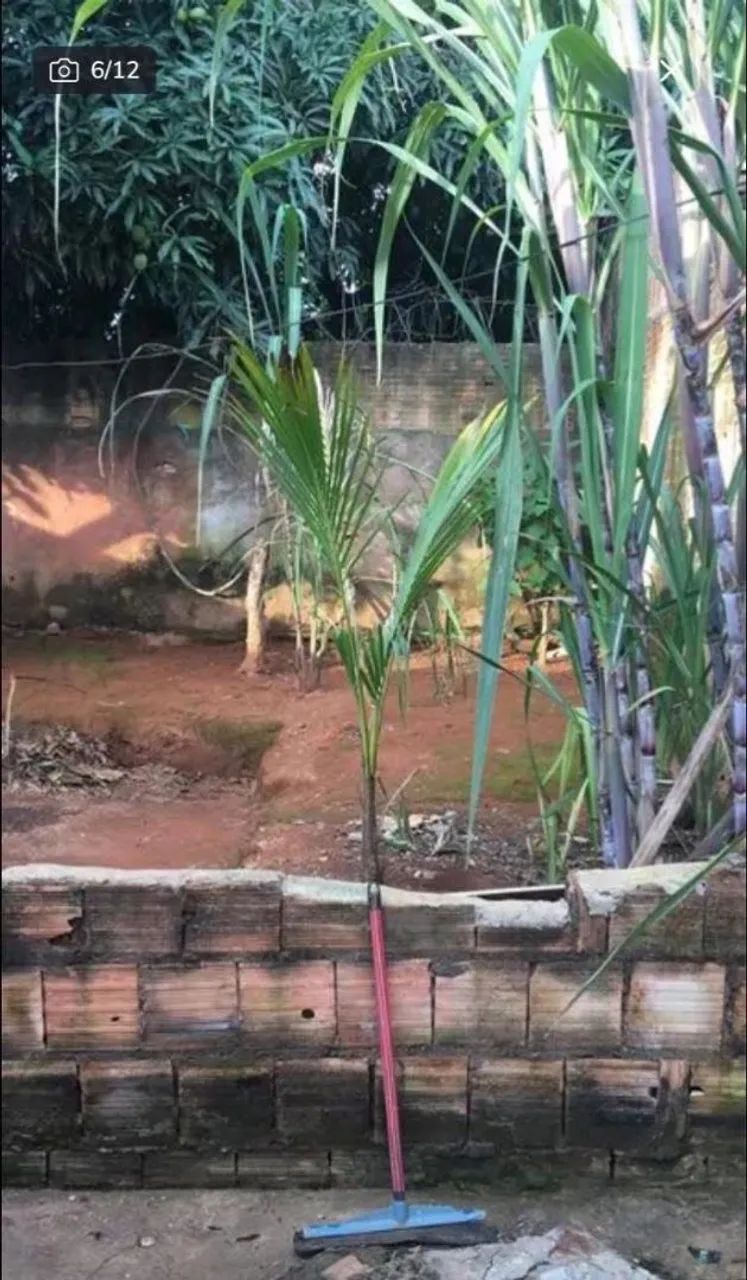 Casa  - Foto 5