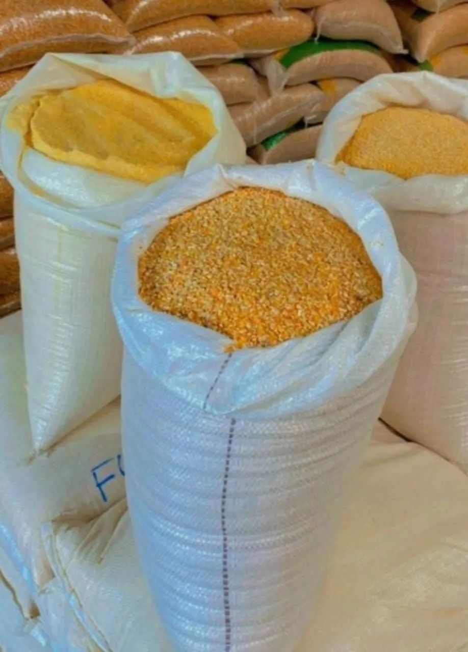 Venda de Milho em Grãos e Demais produtos Agricolas Direto da Fazenda-Dispensamos Curiosos - Foto 4