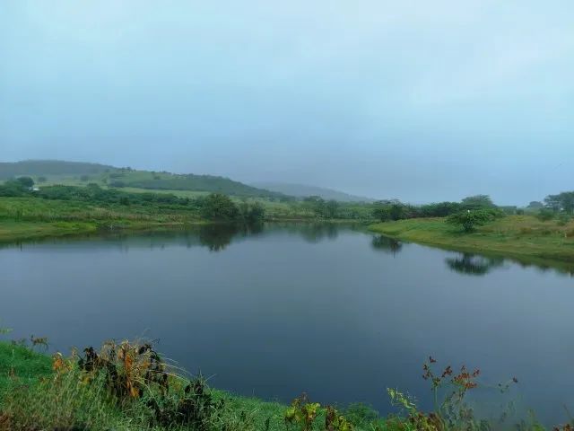 Fazenda em Altinho/PE à Venda (FA0197-DV)