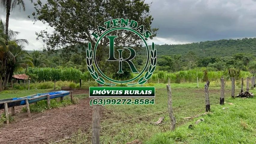 Excelente Chácara 10 Alqueires - Foto 3
