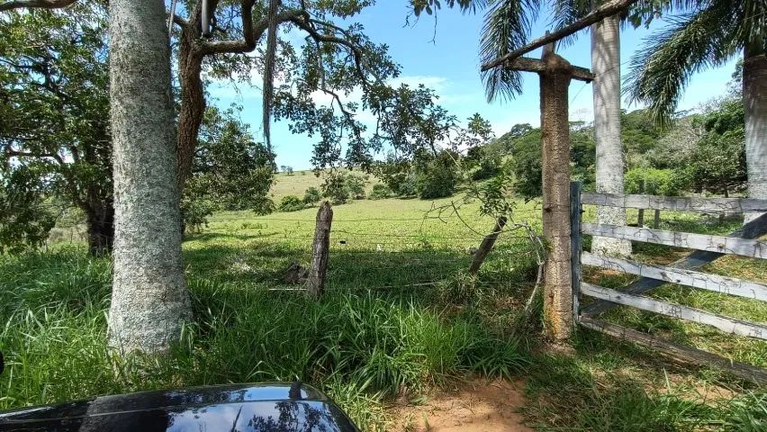 Ótimo sítio venda  em Descoberto 40 hectares - Foto 4