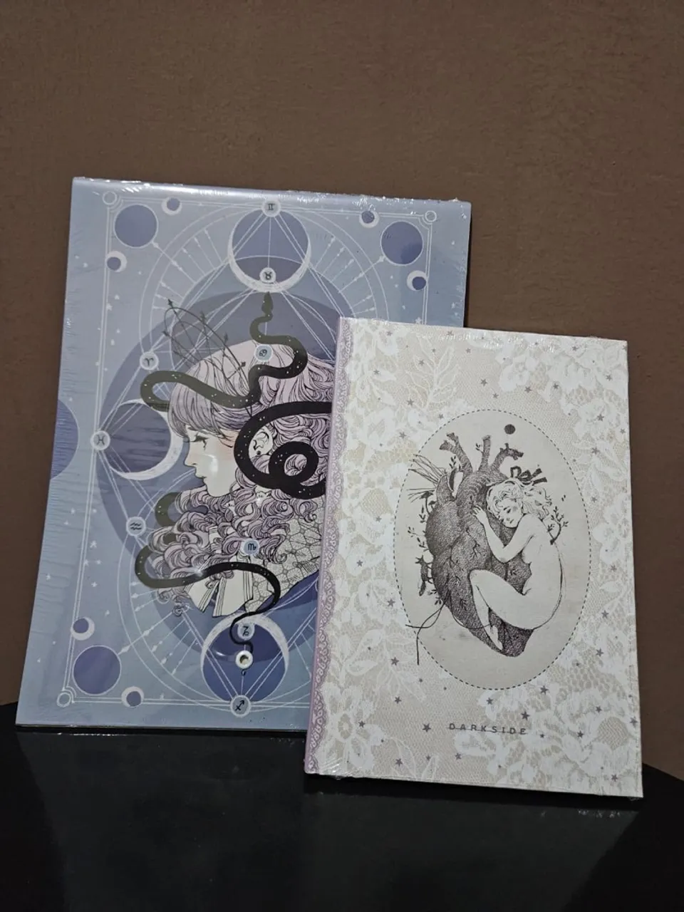 Calendário Darkside + Planner Literário Loputyn