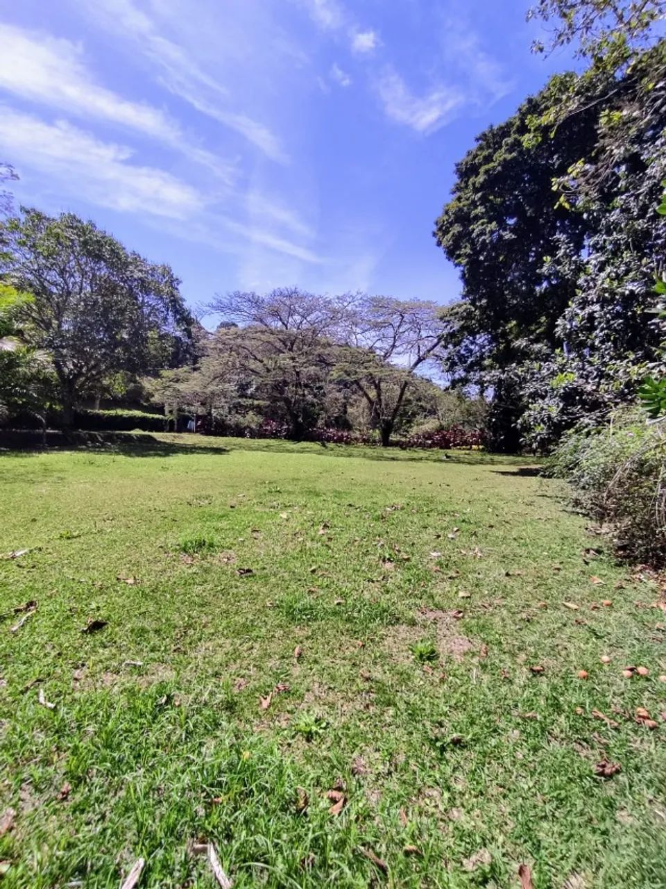 Vendo este ótimo Sítio em Mendes - Foto 4