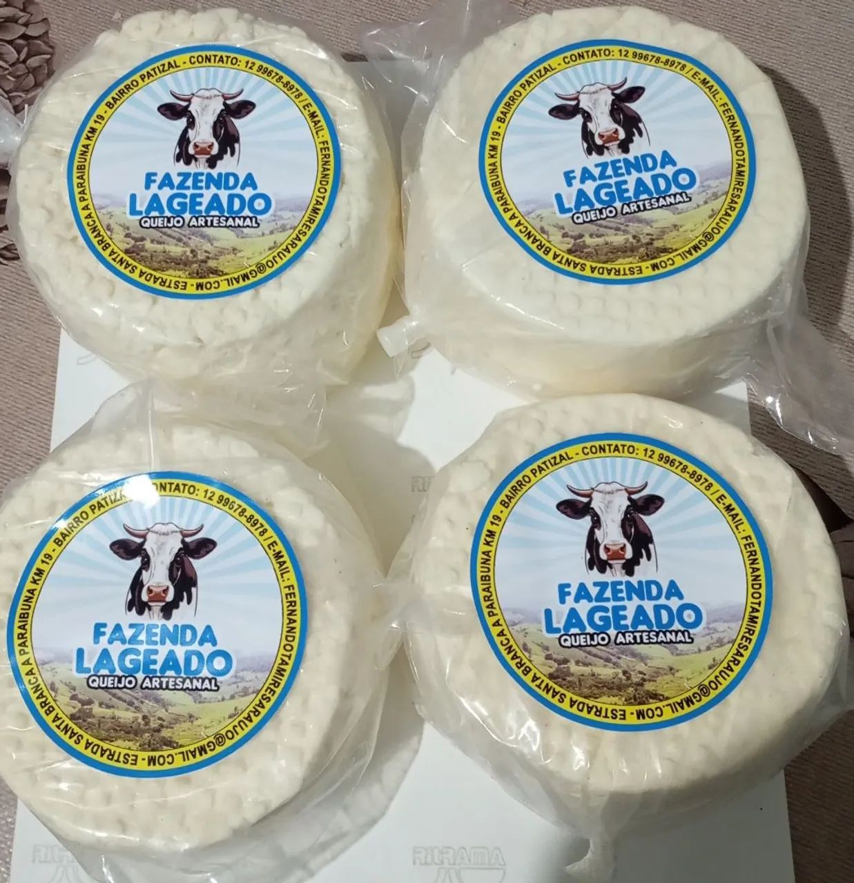 Queijo artesanal 