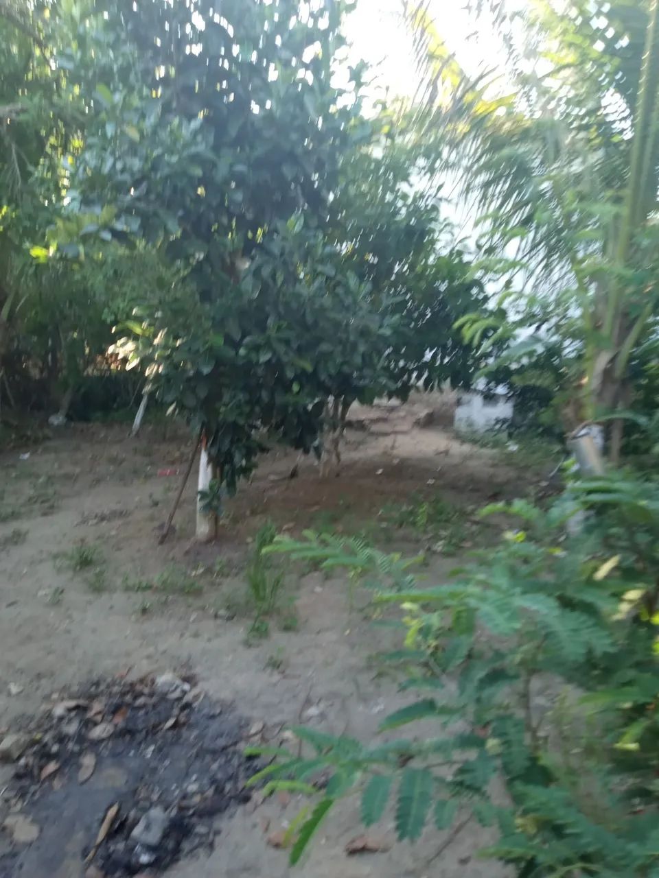 Casa a venda promoção  - Foto 2