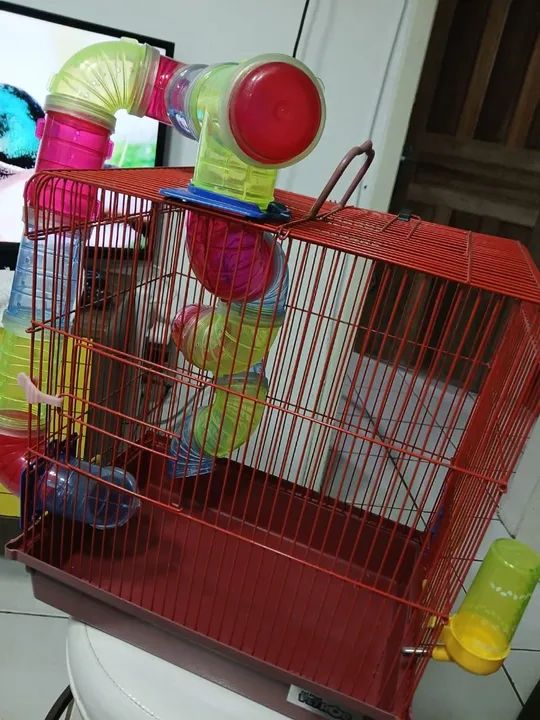 Gaiola para Roedor ? - Foto 3