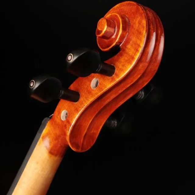VIOLINO EAGLE 4/4 VK544  - Foto 3
