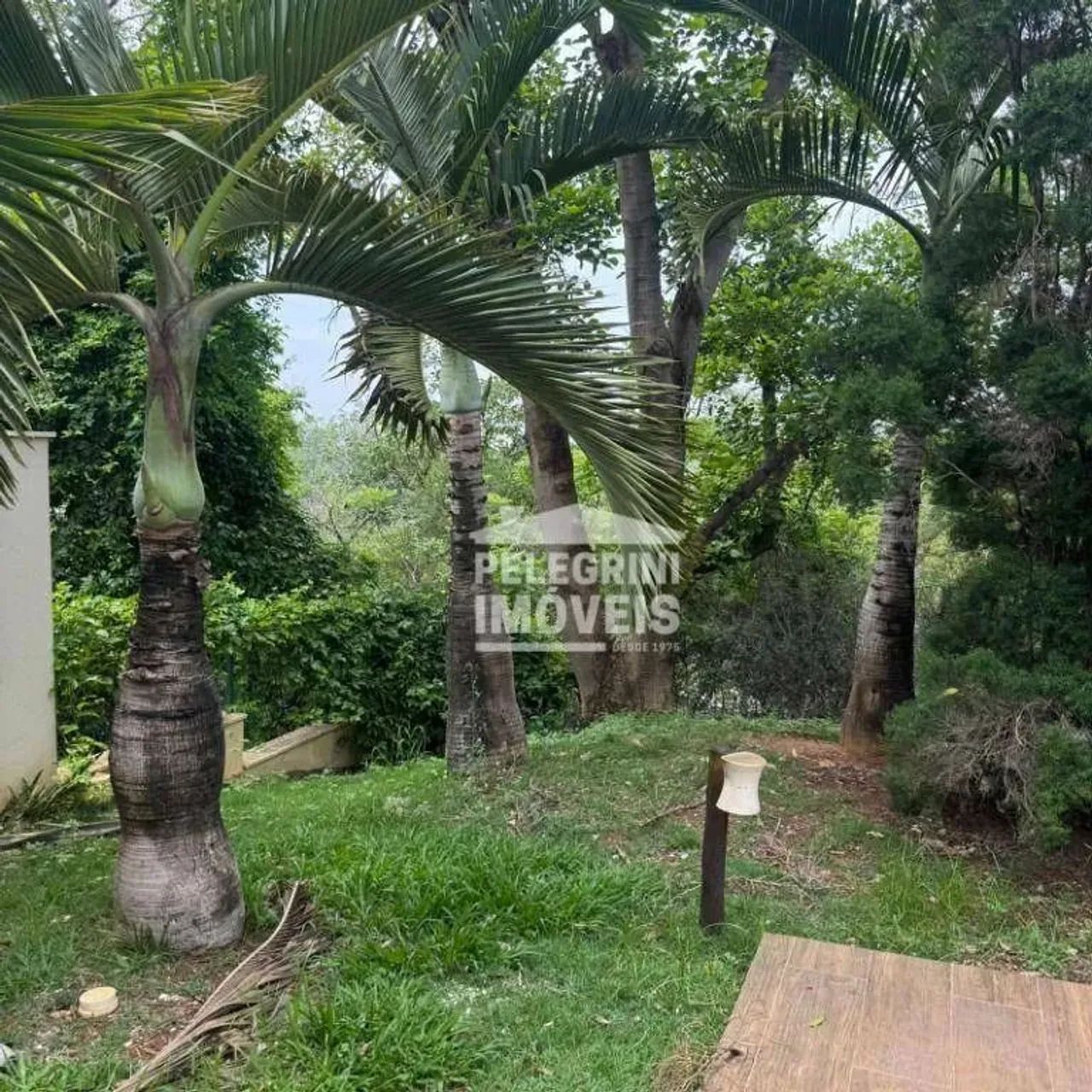 oportonidade unica - Foto 4