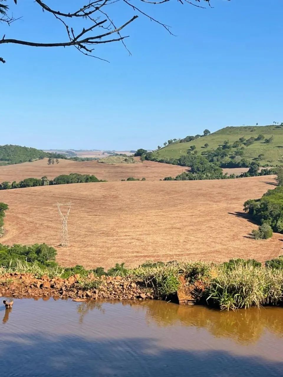 Fazenda Londrina -Pr  - Foto 5