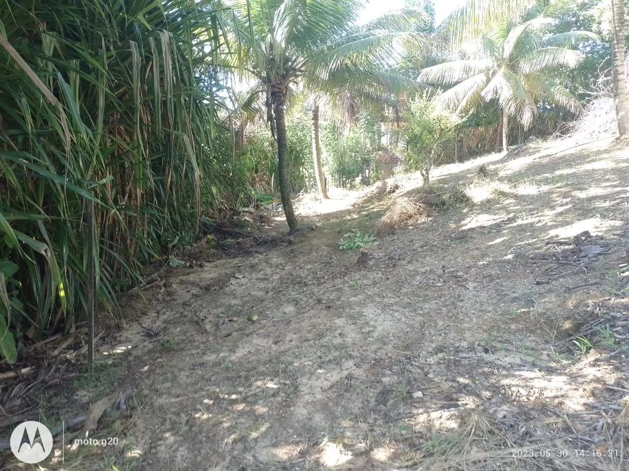 Terreno na Ilha de Itaparica valor 23 mil dependendo da entrada faço parcelado  - Foto 3