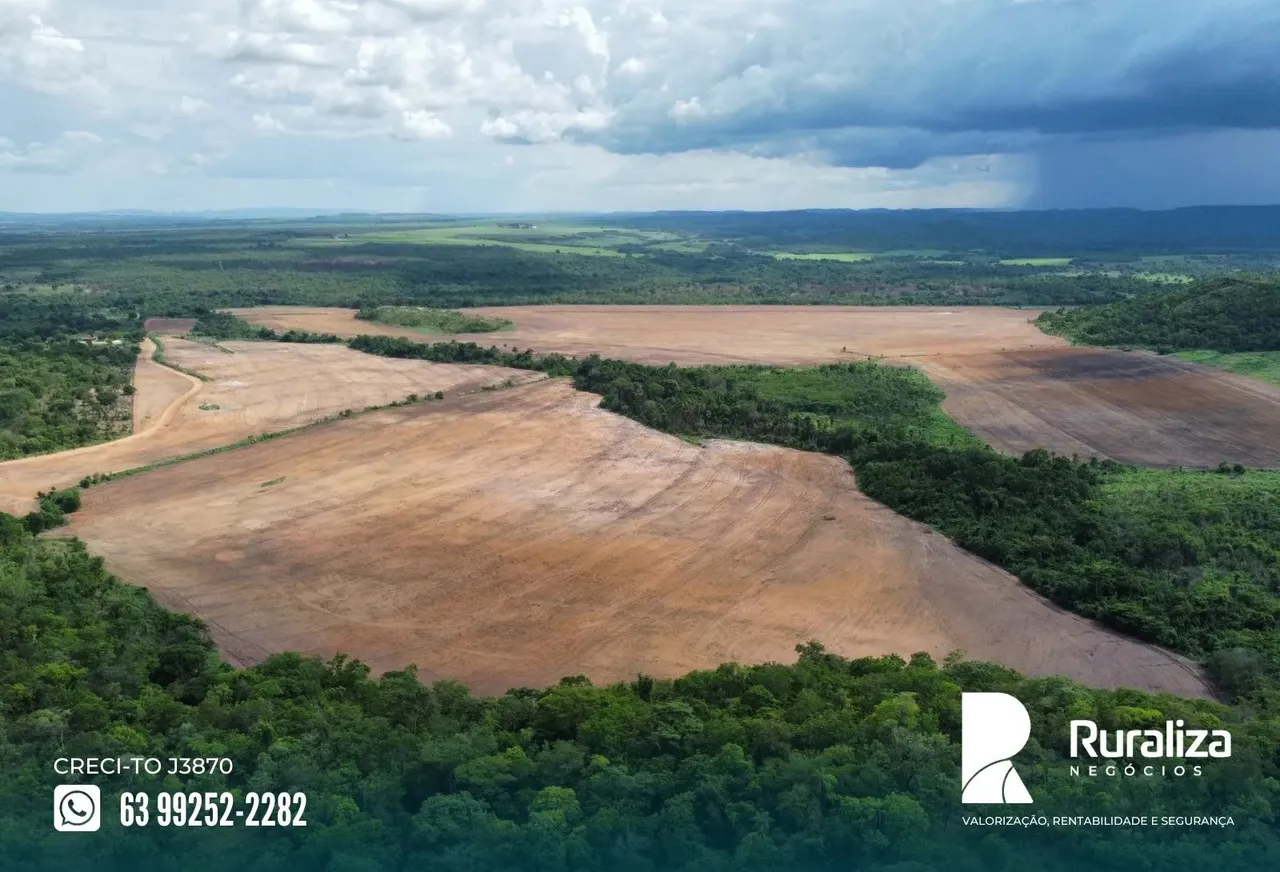 Porto Nacional - TO Propriedade plantando, 80 km de palmas e 50 km dos terminais de grãos